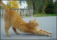 /album/fenykepgaleria/letoltes-12-jpg/
